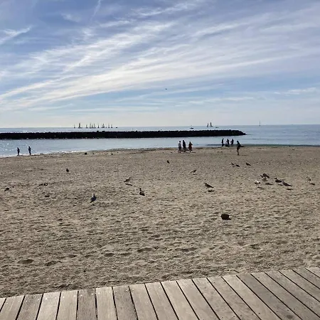 Moderne Avec Terrasse, Parking Et Clim A 5 Min De La De La Roquille - Fr-1-723-59 * Agde